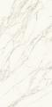 Calacatta C01 Silk
