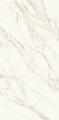 Calacatta C01R  Silk