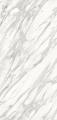 Calacatta Gold CG01 Silk