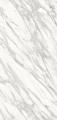 Calacatta Gold CG01R Silk