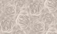 Crispy_Paper_525601