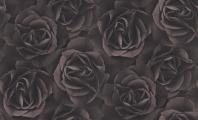 Crispy_Paper_525618