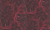 Crispy_Paper_525625