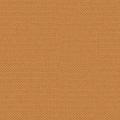 EZRA 22 orange
