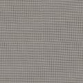 PRIMULA 43 grey